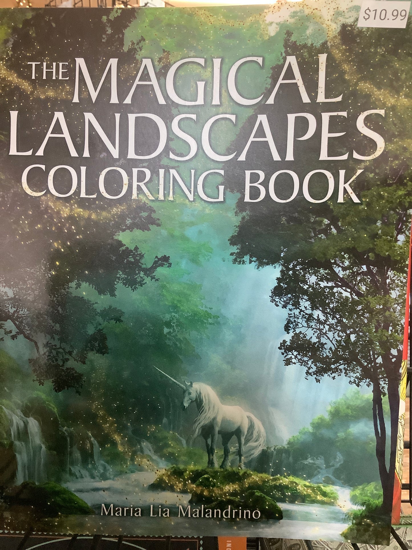 The Magical Landscapes Coloring Book