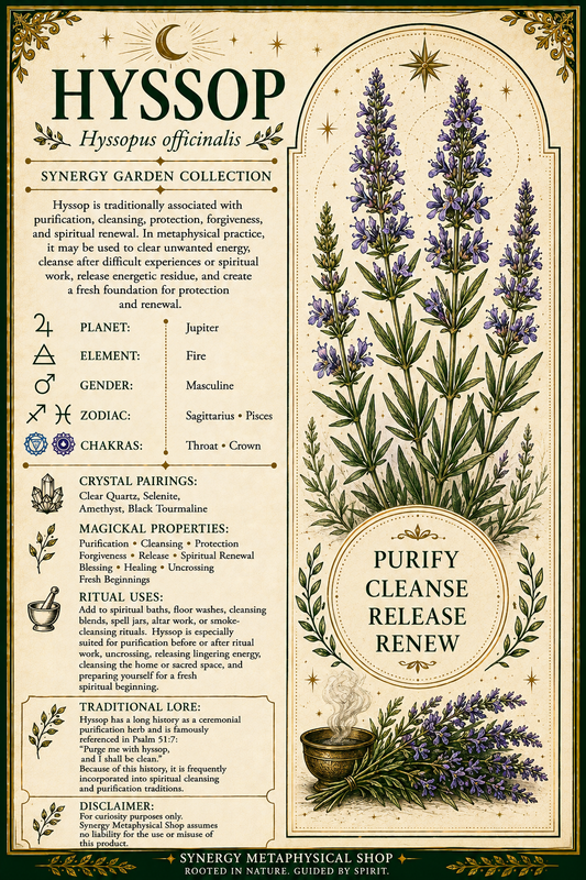 Hyssop .13oz