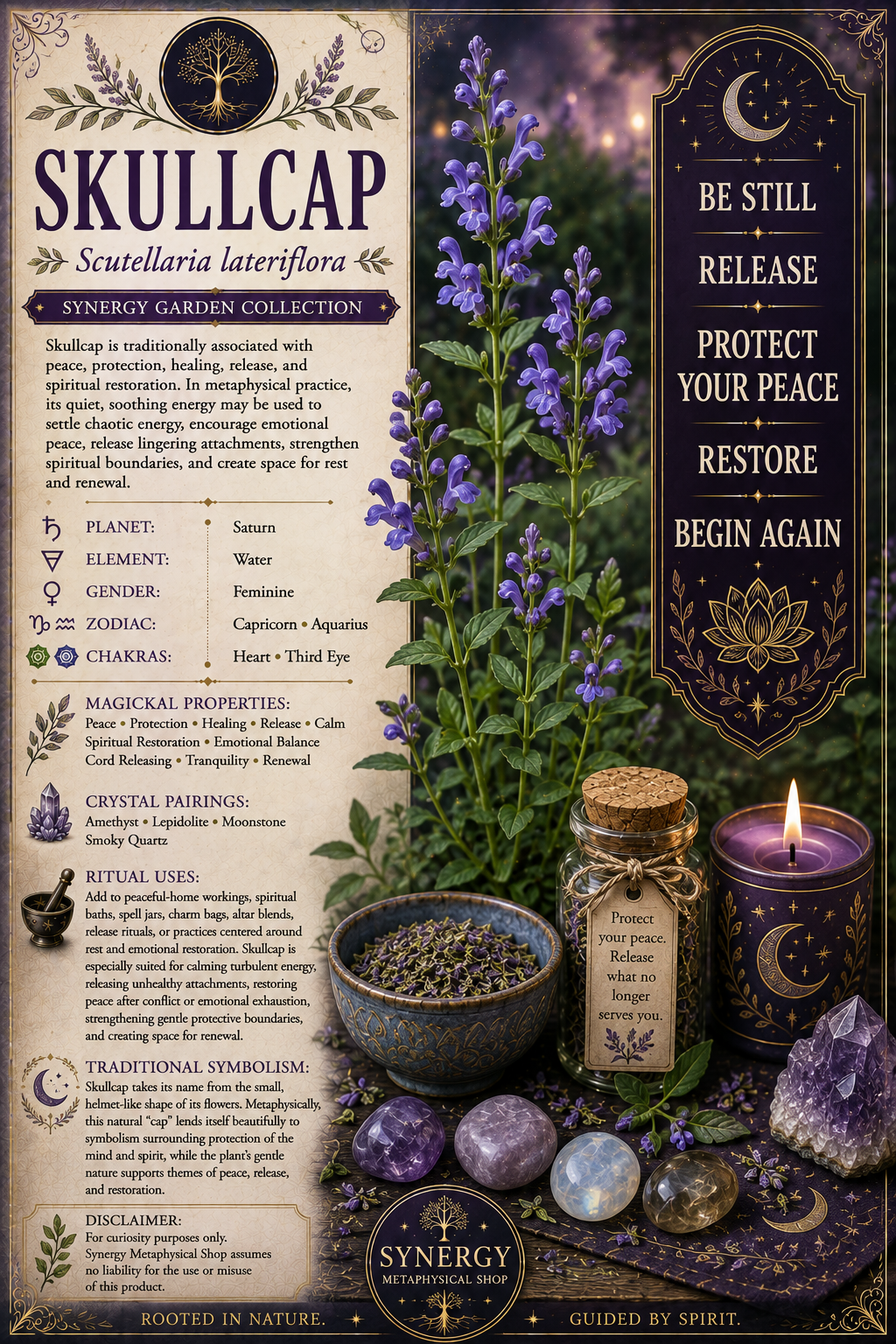 Skullcap .125g
