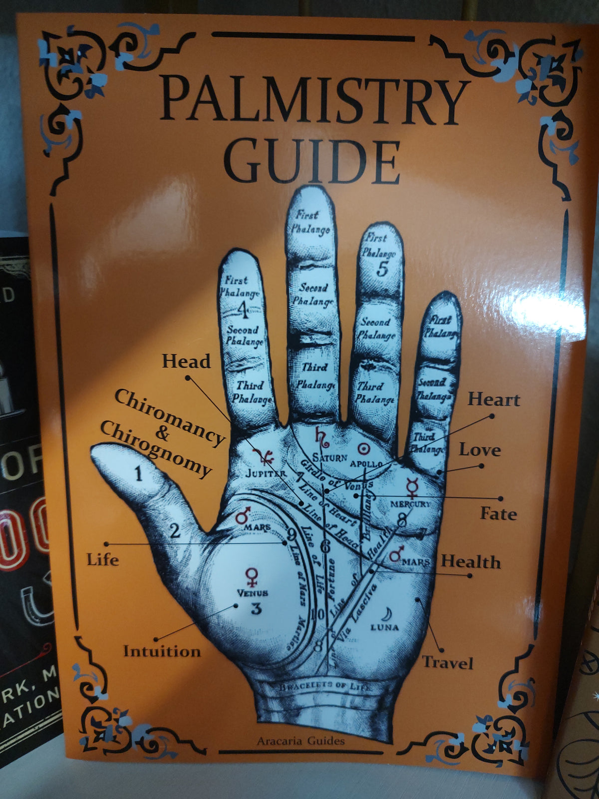 Palmistry Guide