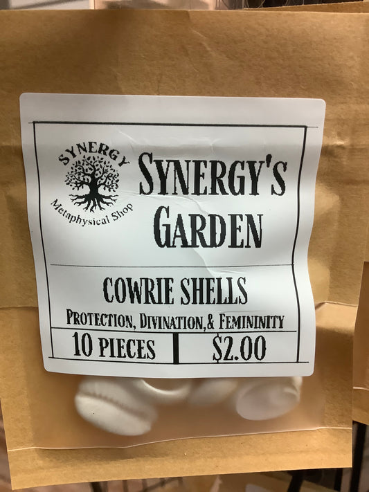 Cowrie Shells