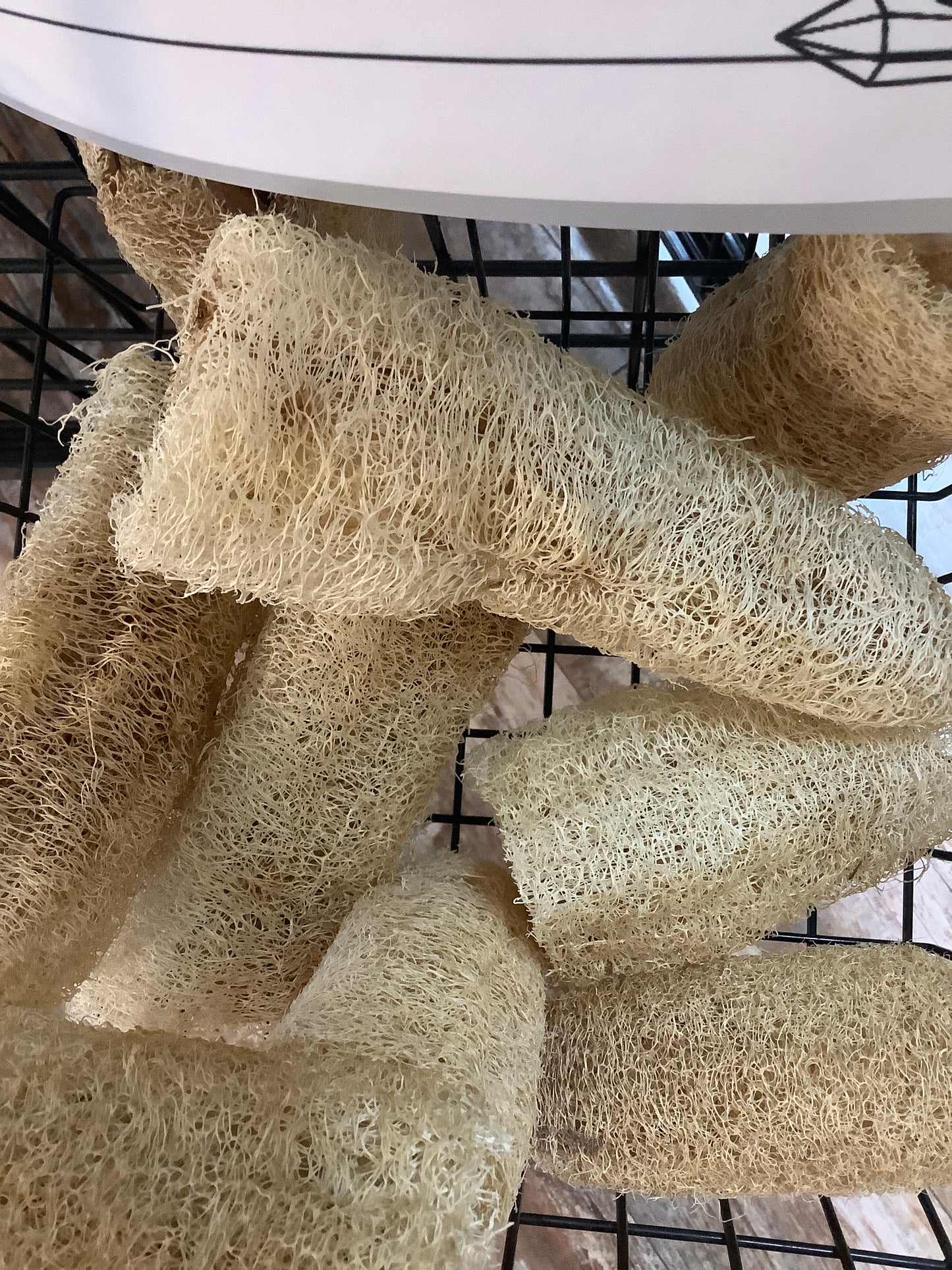 Loofah 6"-8"