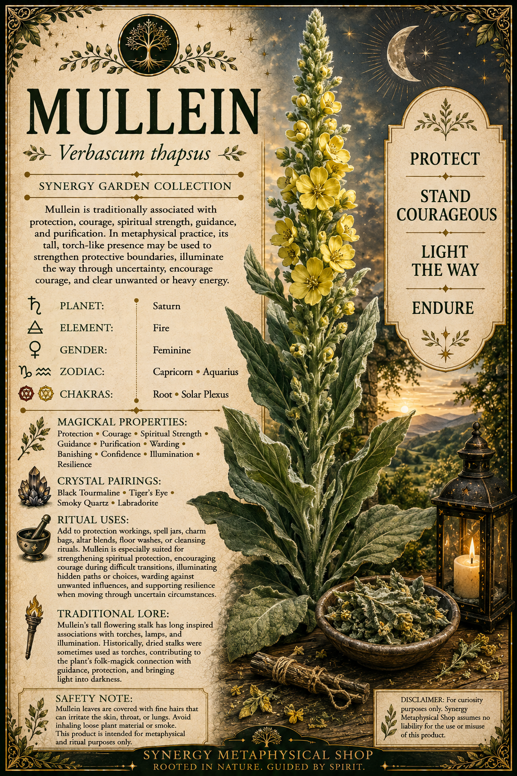 Mullein .125oz