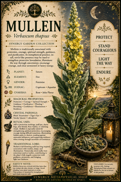 Mullein .125oz