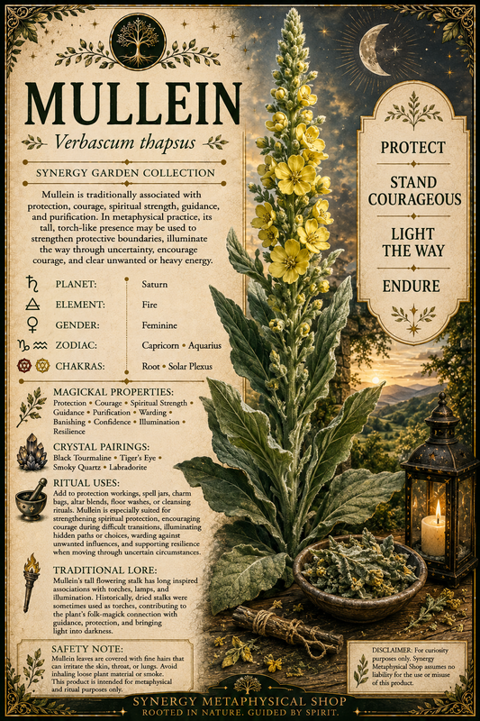 Mullein .125oz