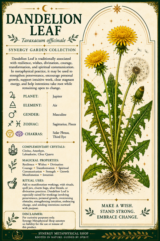 Dandelion Leaf .13oz