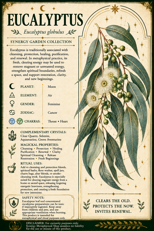 Eucalyptus .25oz