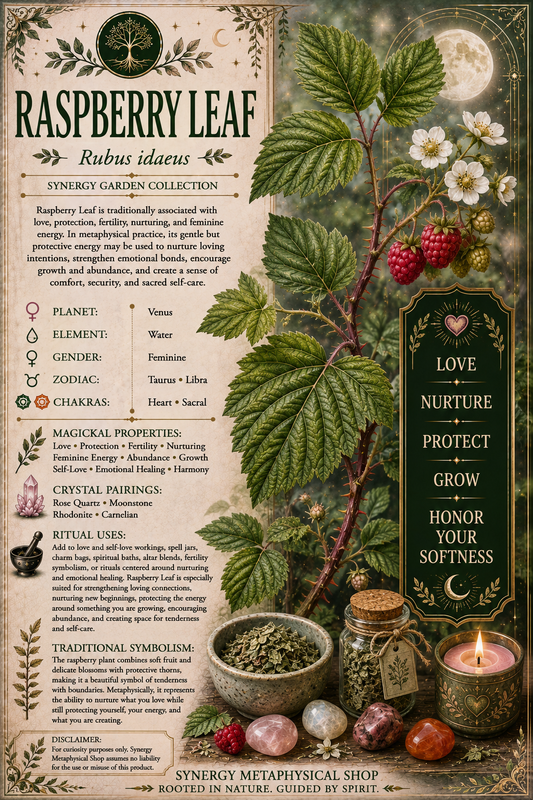 Raspberry Leaf .125oz