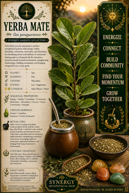 Yerba Mate .25oz