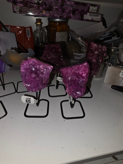 Specimen on Metal Stand