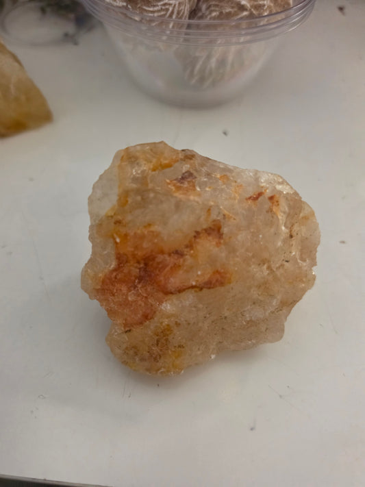 Specimen Golden Healer Raw Small