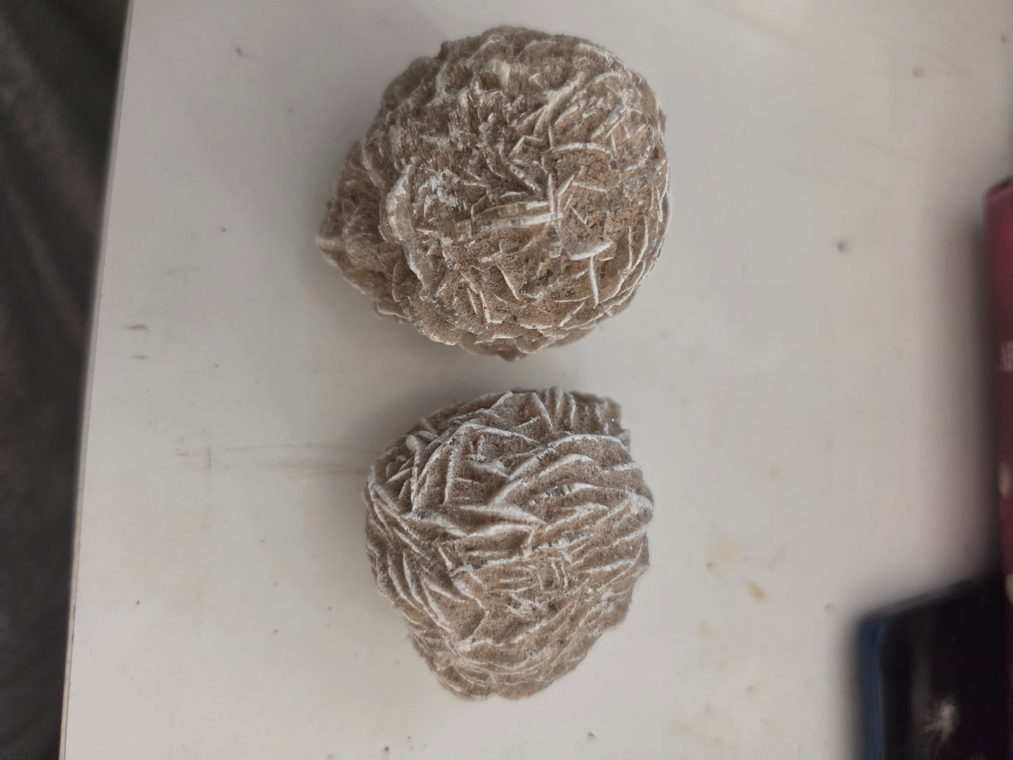 Specimen- Desert Rose