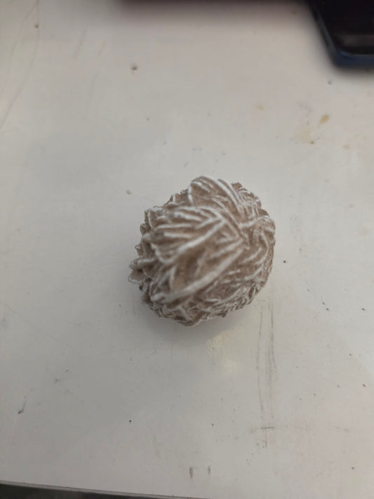 Specimen Desert Rose