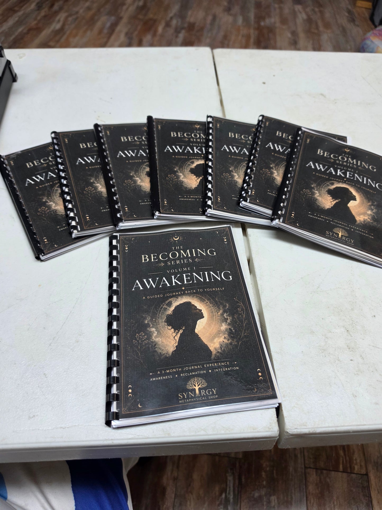 The Becoming Series Volume 1: The Awakening